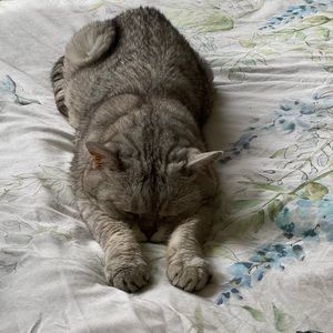 Meet your Posher, Sue